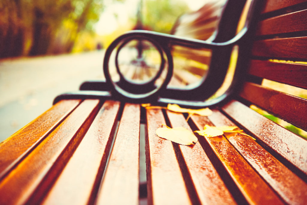 Leaves on a bench