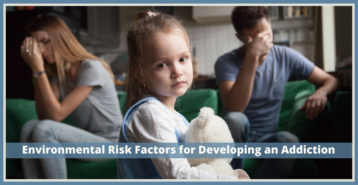 Environmental Risk Factors for Developing an Addiction