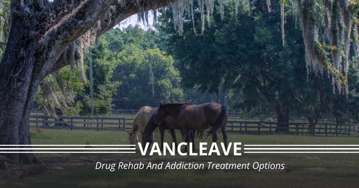 Vancleave, Mississippi Drug Rehab Centers And Addiction Treatment