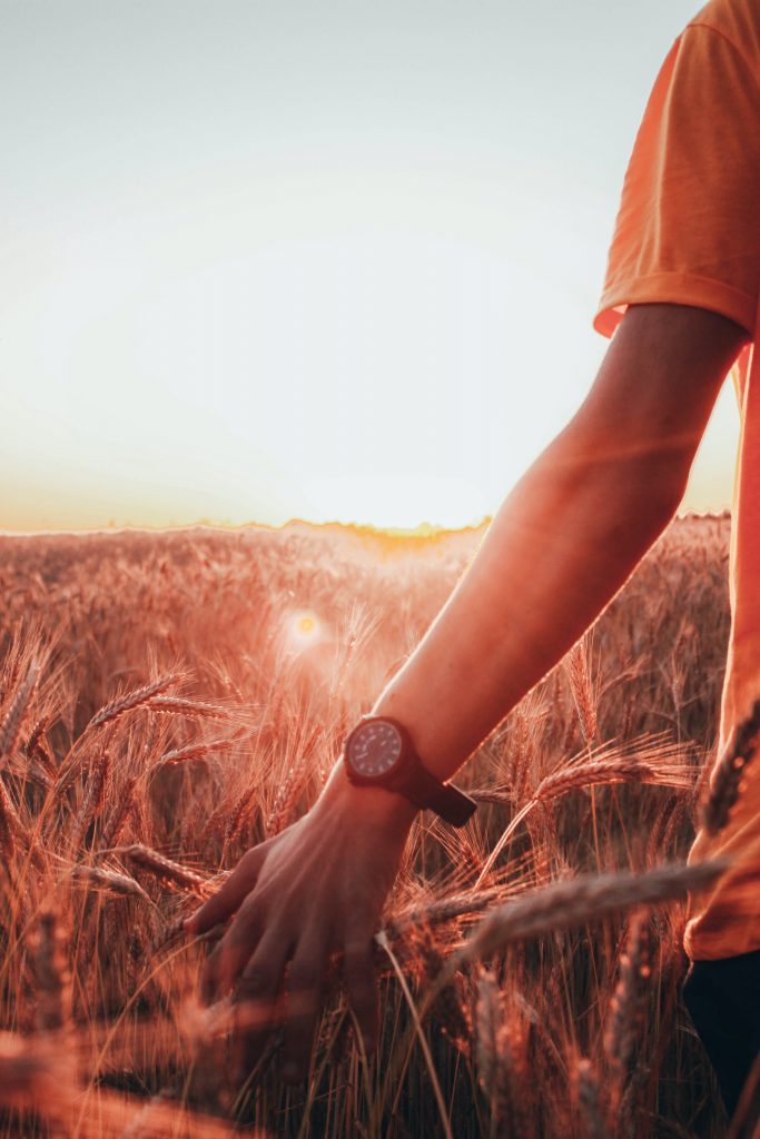 person orange shirt walking through wheat field